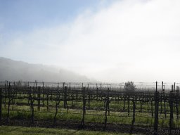 QueenVictoria2015-101